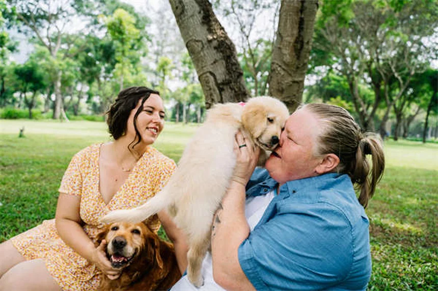 How to Help Traumatized Pets: 5 Proven Healing Techniques
